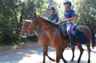 reparto_cavallo